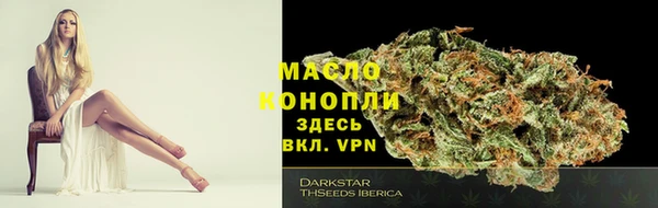 apvp Медногорск