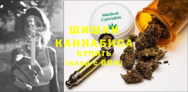 хмурый Аша