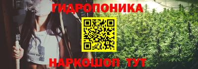 индика Волжск