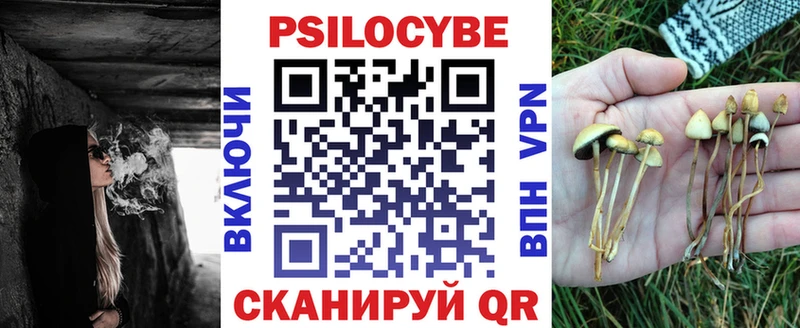 shop клад  Камень-на-Оби  Псилоцибиновые грибы Psilocybine cubensis  где продают наркотики 