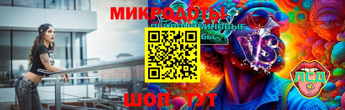 Лсд 25 Камень-на-Оби