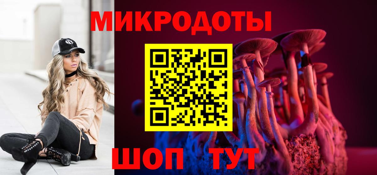 Камень-на-Оби  Псилоцибиновые грибы GOLDEN TEACHER  наркошоп  Вход с VPN 