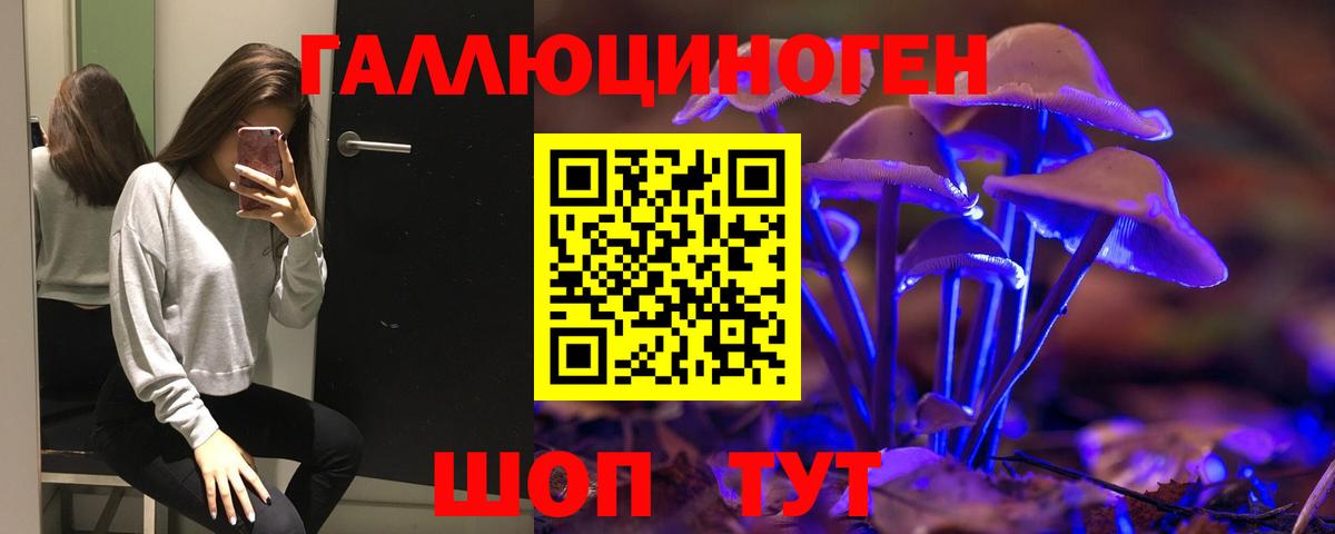 где найти наркотики  Камень-на-Оби  Галлюциногенные грибы мухоморы 